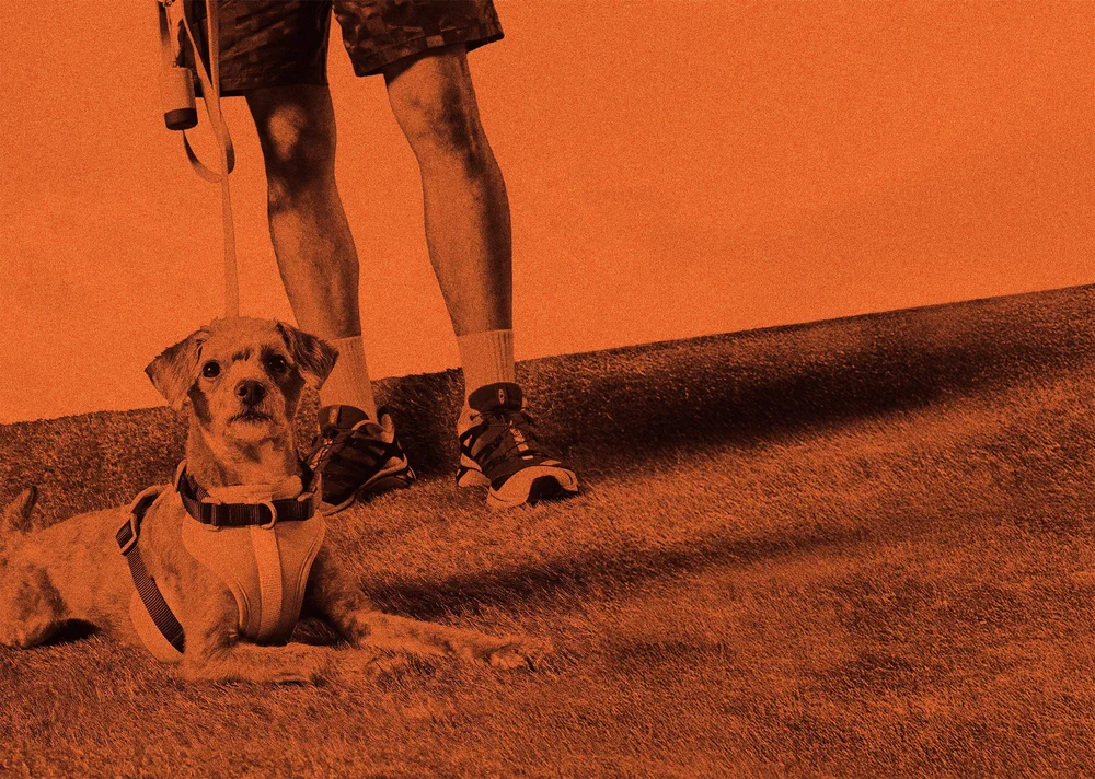 Very Great — Product Design Studio | Pollox portfolio